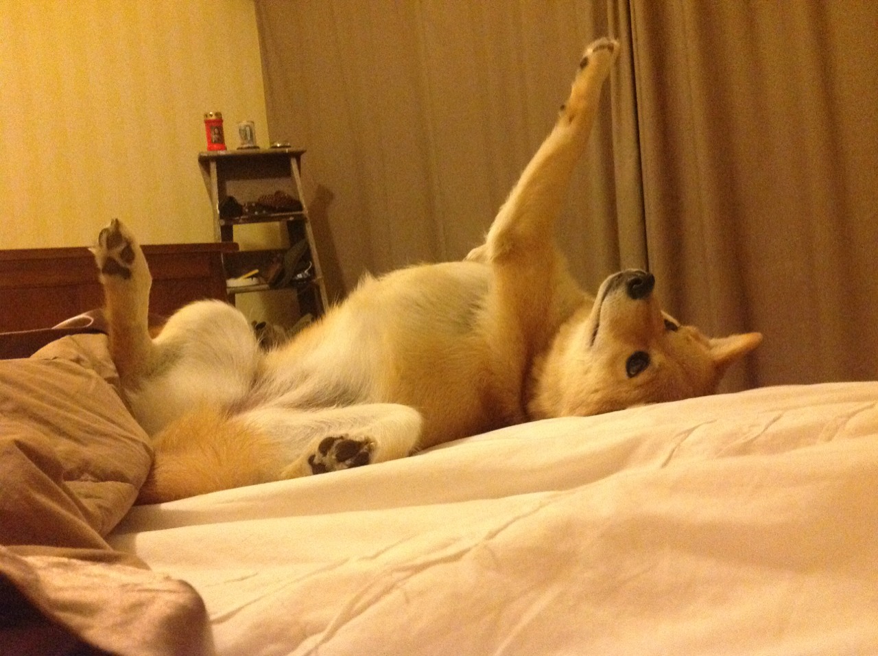 mk体育全站-英超裁判语义模型提升多语境判罚的准确率，英超裁判主队