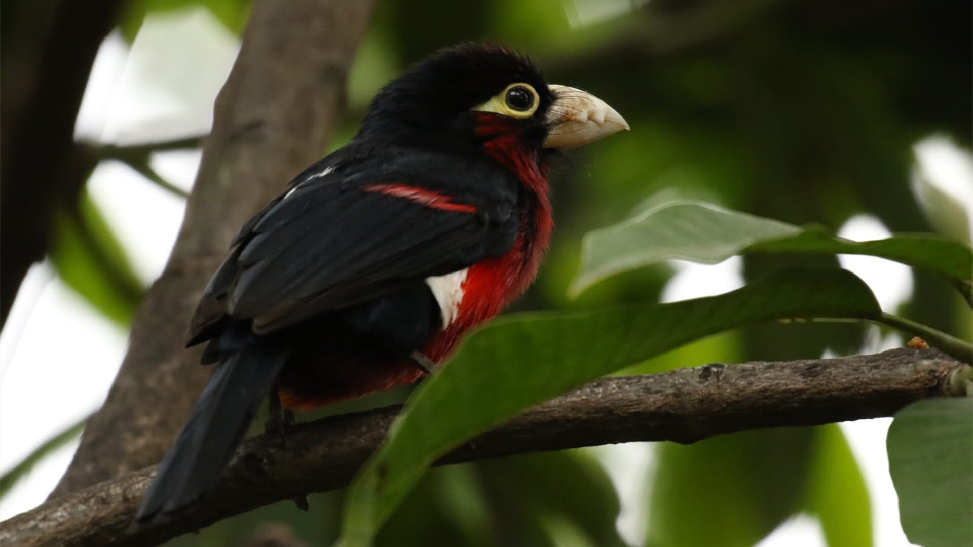 mk体育官网入口-运动康复项目在社区医疗体系中的融合方案，运动医疗和运动康复