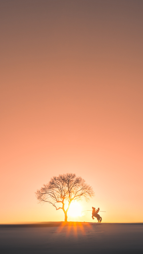 体育mk-NB Staouéli 第三次夺冠，教练 Mohamed Yahya 带队夺冠，nbl 2021