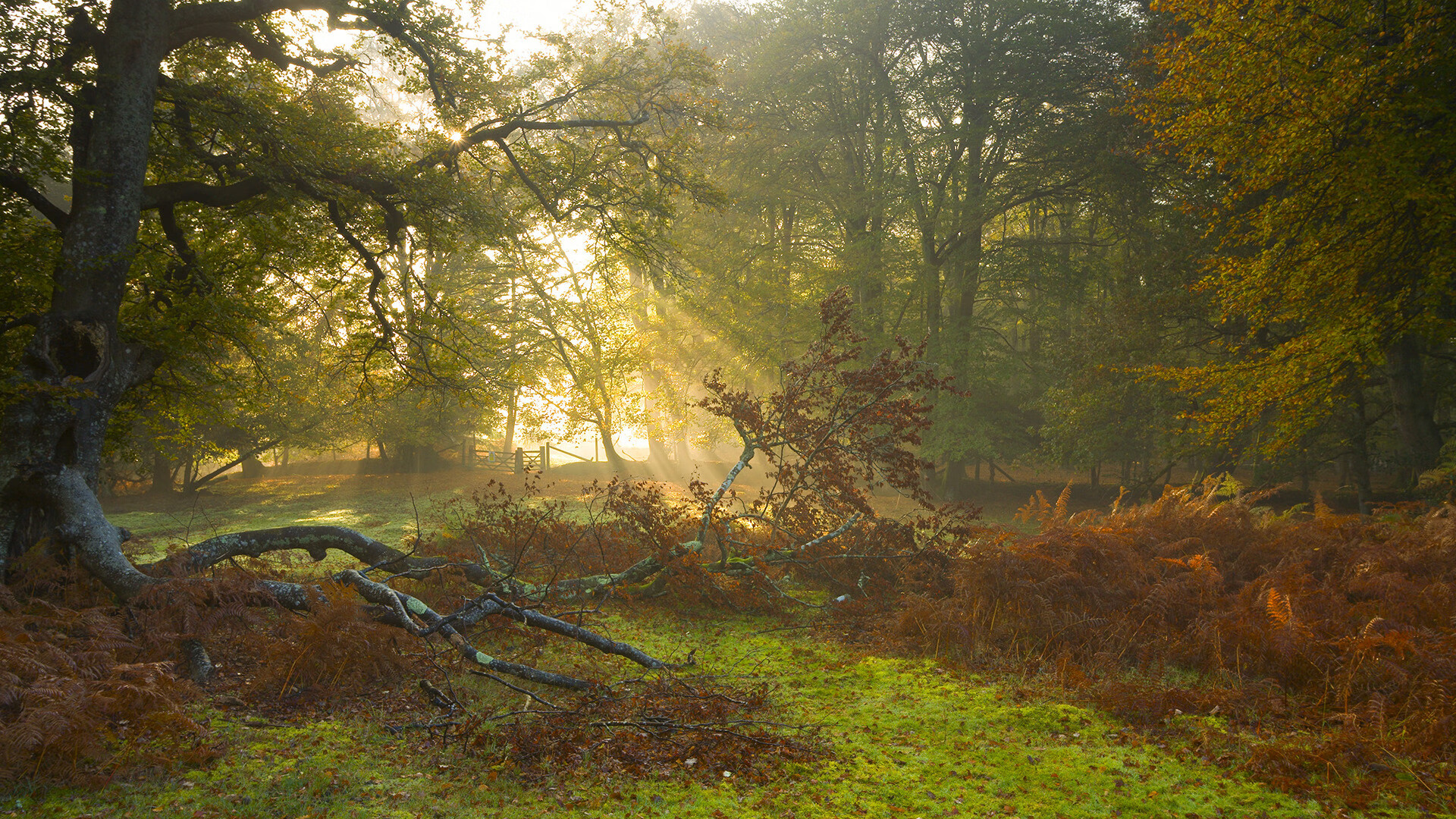 mk体育网页-上海男篮新援表现抢眼成为黑马球队关键一环，上海男篮新人