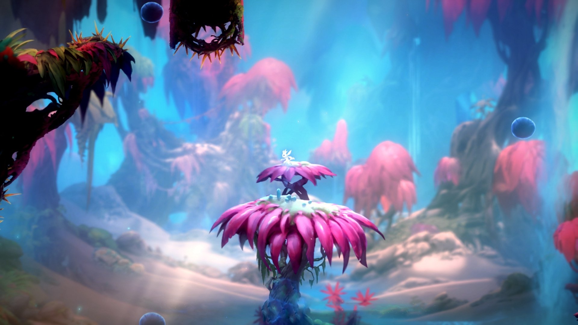 中国女泳队延续大赛好传统,中国女子游泳联合队