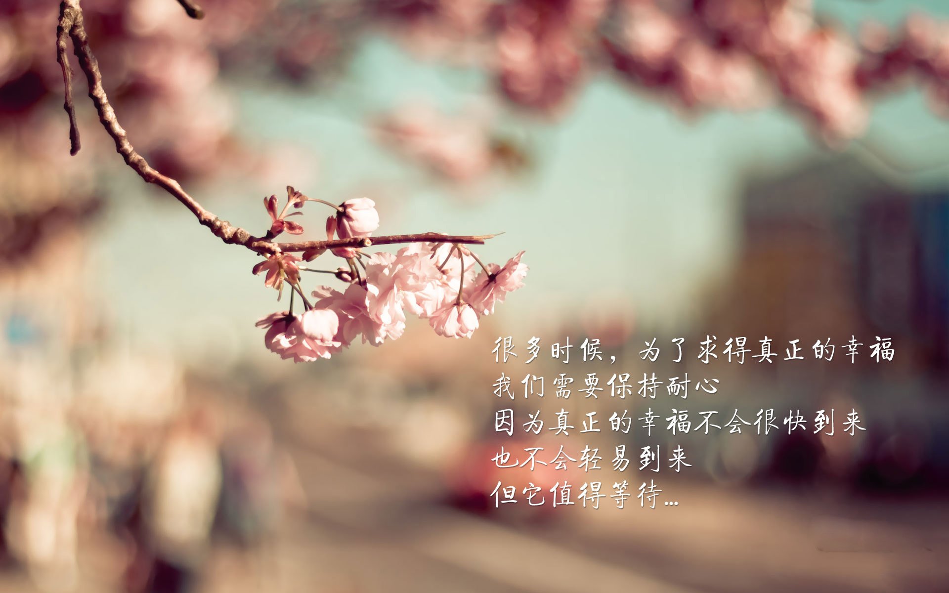 中国男篮积极推动核心球员角色明确化，中国男篮人物