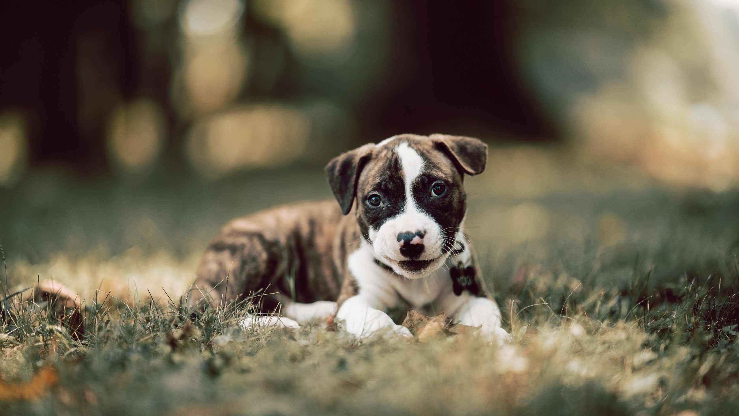 mk体育登录-中小俱乐部生存压力持续加大，俱乐部发展现状