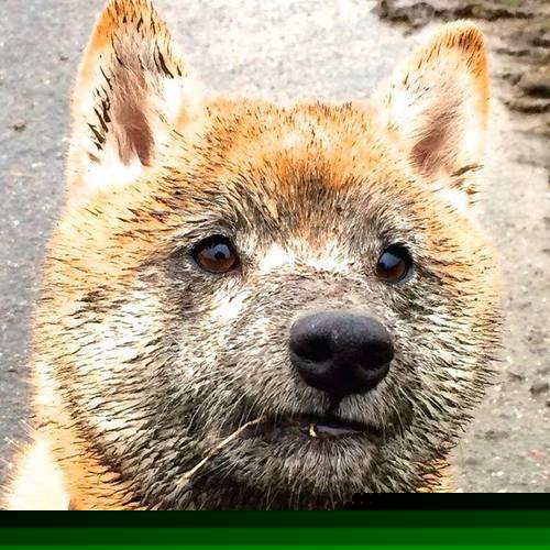 决赛亮点回顾,精彩瞬间不断,决赛启动