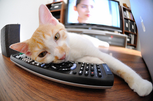 青年球员出场时间增加利于成长也伴随风险,这名球员已经列入青年队名单或球员名单