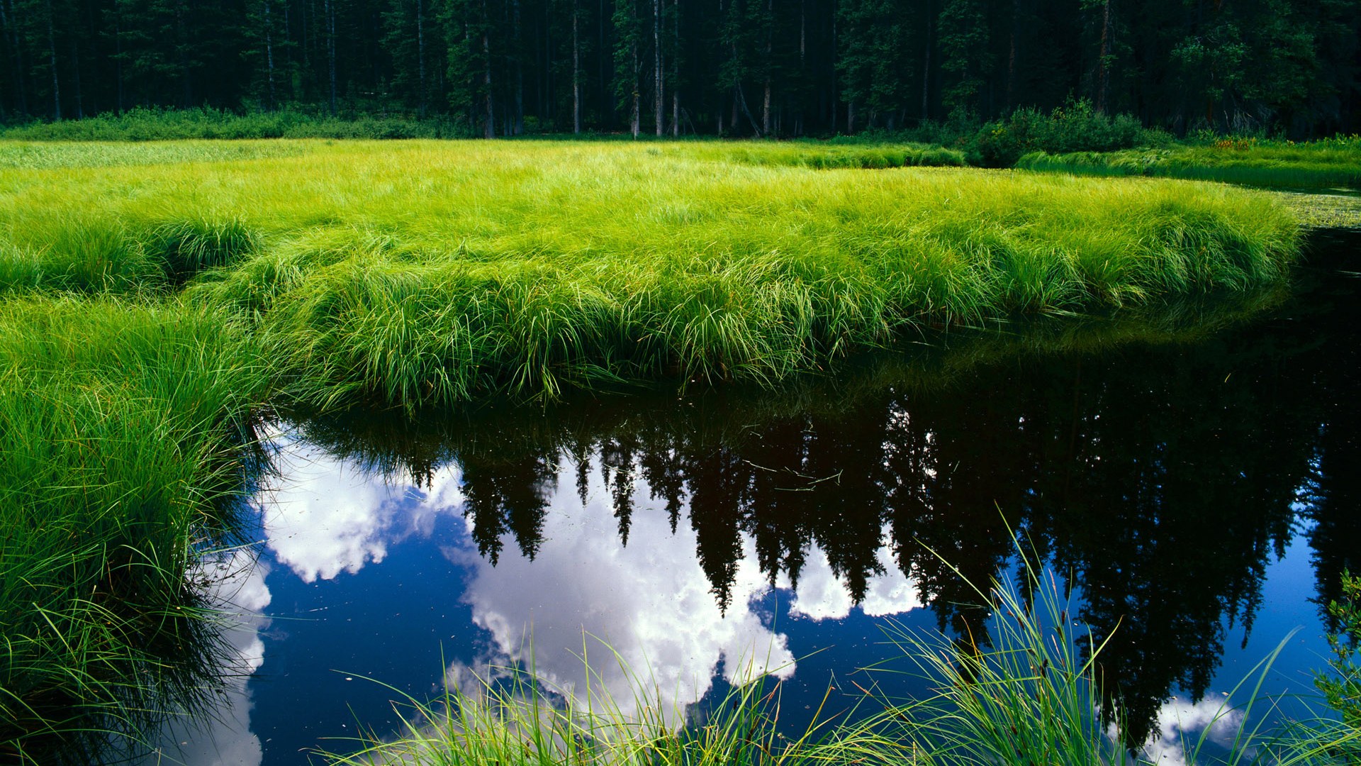 mk体育登录-中国男篮海外拉练赛程结束整体状态趋稳收获宝贵经验，中国男篮外教