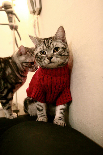 mk体育官网入口-中超夏训重点围绕防守转进提升转换效率，中超防守最好球队