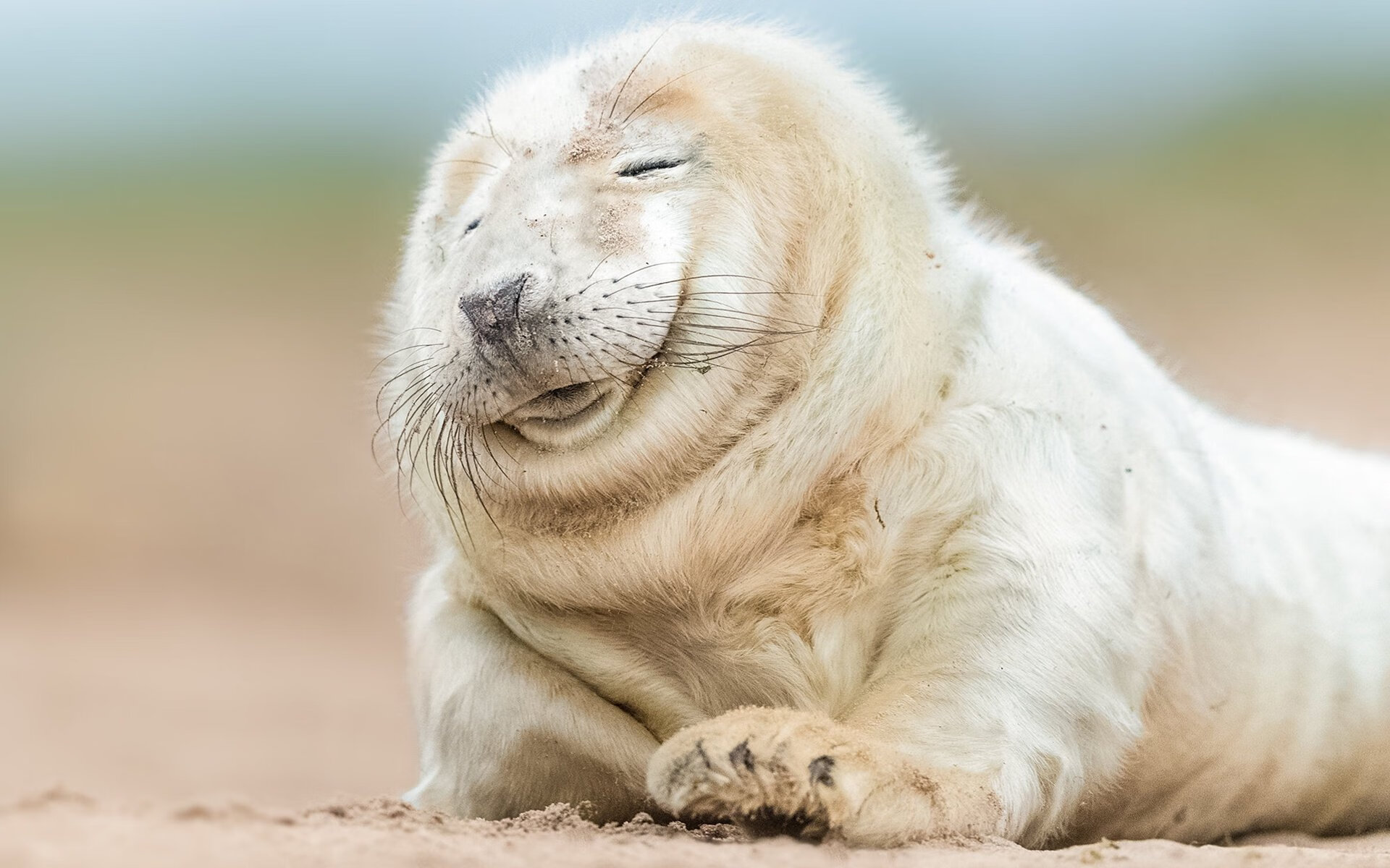 mk体育网页-张雨霏突破自我刷新个人最好成绩，张雨霏如何走向巅峰