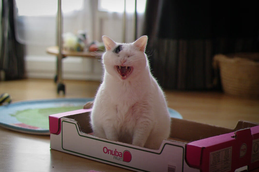 西甲攻防不断：精彩片段频频上演！，西甲loading