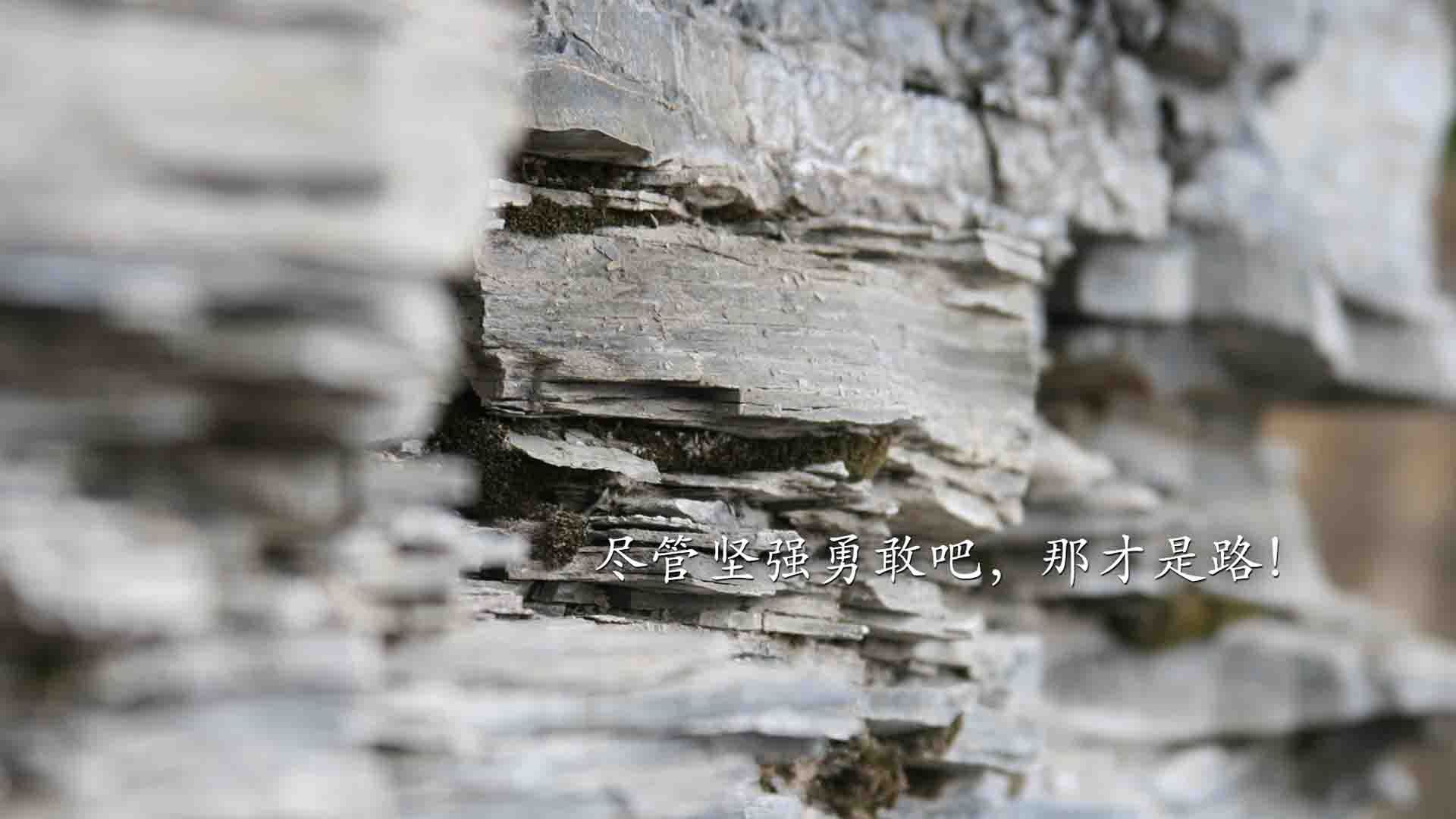 覃海洋稳步提升成绩,赢得喝彩,覃海洲简历