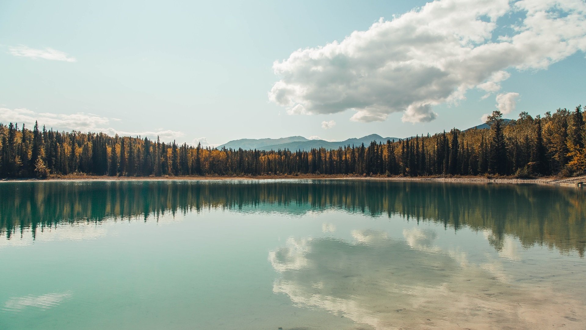 mk体育平台登录入口-中国淡化“发展中待遇”主张，全球谈判迎来新气象